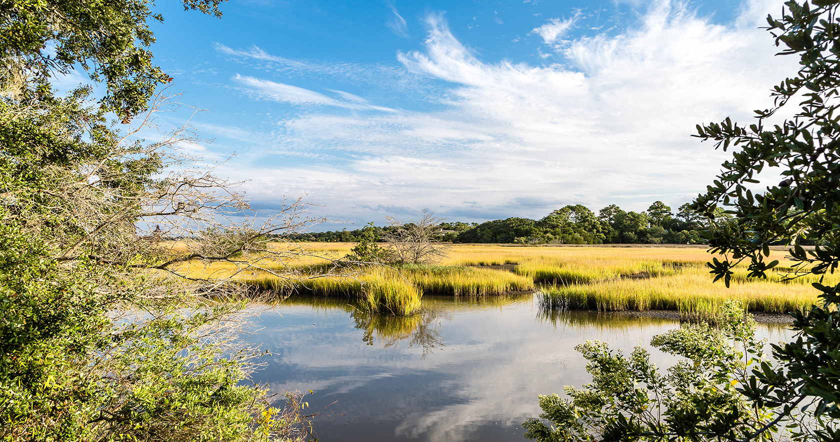Wet lands and coastal